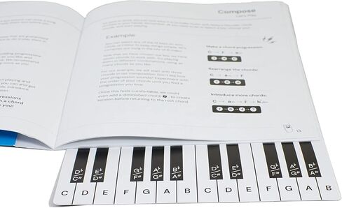 رفيق القراءة: جهاز فك التشفير الصاخب: دائرة الخمس in Kuwait