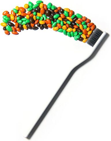 HippoCrate Charcoal Toothbrush with Soft Bristles, Dentist Approved (4 Counts) in Saudi Arabia