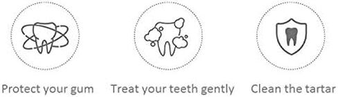 HippoCrate Charcoal Toothbrush with Soft Bristles, Dentist Approved (4 Counts) in Saudi Arabia