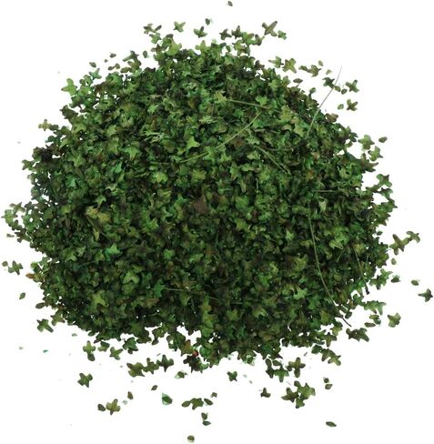 Realistic Miniature Leave,s Simulation Leaves, 35ml Model Scenery Leaf for DIY Mini Model, Train Scenery, Layout Diorama, Spring Green in Kuwait