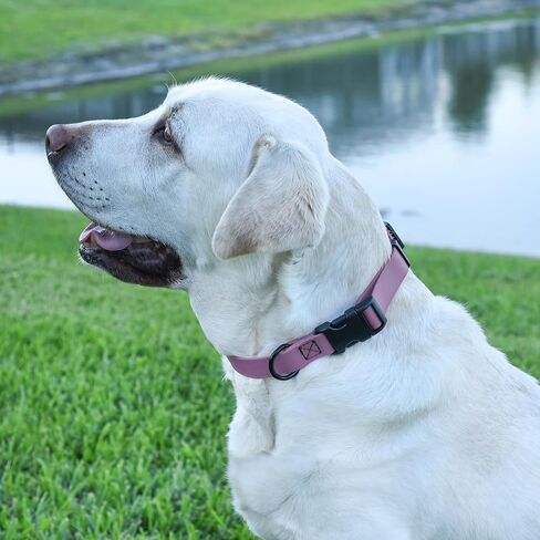 طوق الكلب المقاوم للماء Dogline Biothane مع حزام نايلون مطلي قوي بالفرش in Saudi Arabia