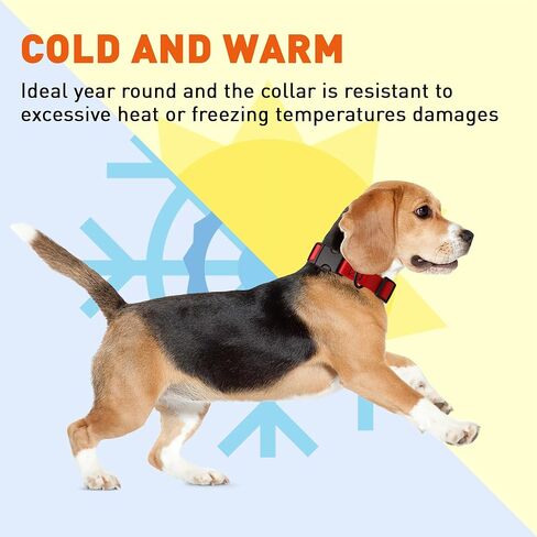 Dogline Biothane Waterproof Dog Collar with Quick Release Buckle Strong Coated Nylon Webbing with Odor- Proof for Easy Care Easy to Clean Fits Small Medium or Large Dogs, Red 3/4" W 12-19" L in Saudi Arabia