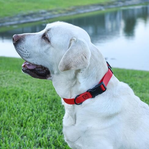 Dogline Biothane Waterproof Dog Collar with Quick Release Buckle Strong Coated Nylon Webbing with Odor- Proof for Easy Care Easy to Clean Fits Small Medium or Large Dogs, Red 3/4" W 12-19" L in Saudi Arabia
