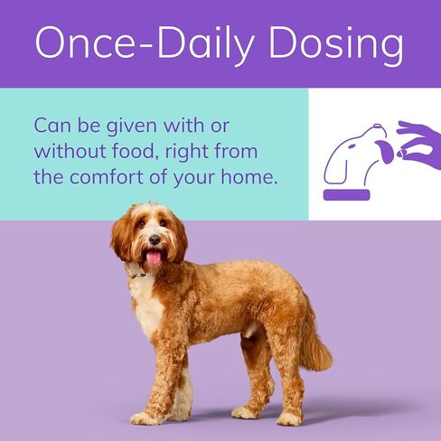 Zenrelia (ilunocitinib Tablets) | Once Daily Prescription Itch Relief for Dogs | 15 mg mg (30 Count) in Saudi Arabia