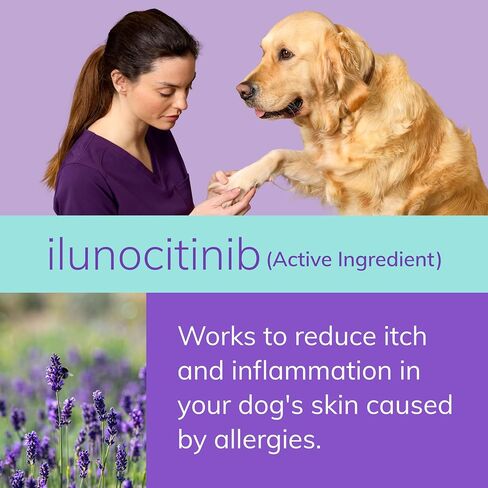 Zenrelia (ilunocitinib Tablets) | Once Daily Prescription Itch Relief for Dogs | 15 mg mg (30 Count) in Saudi Arabia