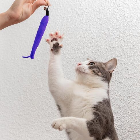 لعبة Cat Worm Toy ، 12 PCS Cat Wand Toy Accessories بما في ذلك مجموعة Worm & Snake Endills ، سلسلة بديلة 2pcs لألعاب القطط الصيد ، وملحقات ألعاب الريش المتنوعة للقطط الداخلية القطة in Kuwait