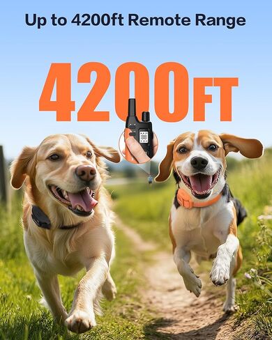 طوق تدريب الكلاب Jugbow 2 Dogs - 4200 قدم من طوق الكلاب مع عن بعد للكلاب الكبيرة المتوسطة الكبيرة ، طوق كهربائي LED مع أوضاع ثابتة/اهتزاز آمن ، IPX8 مقاومة للماء قابلة لإعادة الشحن in Kuwait