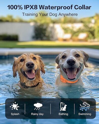 طوق تدريب الكلاب Jugbow 2 Dogs - 4200 قدم من طوق الكلاب مع عن بعد للكلاب الكبيرة المتوسطة الكبيرة ، طوق كهربائي LED مع أوضاع ثابتة/اهتزاز آمن ، IPX8 مقاومة للماء قابلة لإعادة الشحن in Kuwait