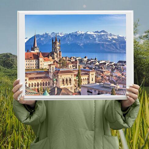 Wuivctr alps Mountain Landscape Lausanne Cityscape Switzerland Painting baster in Saudi Arabia