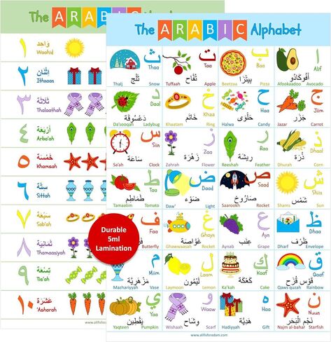 Akross Kultures Laminated Arabic Alphabet Poster - With Numbers - for Kids - Classrooms - Set of Two - 13" x 19" - Alif to Yaa Illustrations in Saudi Arabia