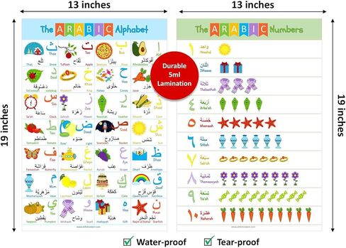 Akross Kultures Laminated Arabic Alphabet Poster - With Numbers - for Kids - Classrooms - Set of Two - 13" x 19" - Alif to Yaa Illustrations in Saudi Arabia