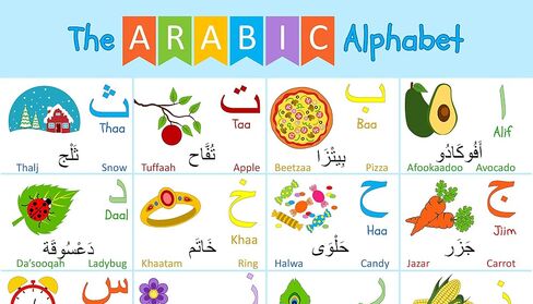 Akross Kultures Laminated Arabic Alphabet Poster - With Numbers - for Kids - Classrooms - Set of Two - 13" x 19" - Alif to Yaa Illustrations in Saudi Arabia