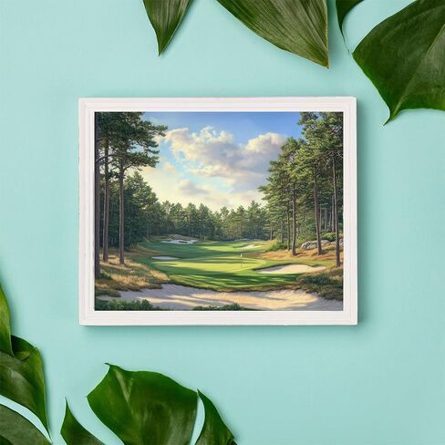 Zuvrdiai Golf Course Paint بأرقام للكبار المبتدئين ، طلاء نادي الجولف برقم على قماش بدون إطار ، لوحة زيت أكريليك DIY لعطلة هدية ديكور الجولف الرياضية الفنية (16x20inch) in Saudi Arabia