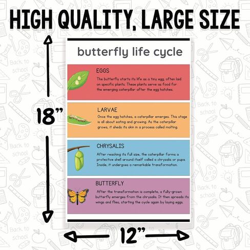 Printlabz Butterfly Life Cycle Classroom Poster - 12 x 18 Inch - Educational Wall Art - Classroom Decor in Saudi Arabia