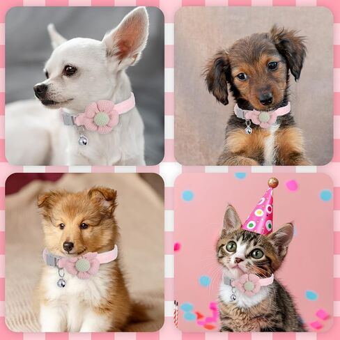 Small Dog Collar with Flower, 2 PCS Puppy Collar Small Dog Collars for Female Dogs Adjustable Cute Dogs Collars with Bell for Girl Boy Little Kitten Pet (Pink, White, XS) in Saudi Arabia