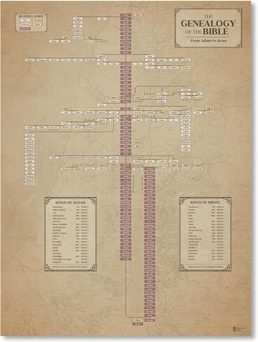Biblical Genealogy Chart, Jesus Family Tree, Bible History Study Tool Timeline Chart, Genealogical Adam and Eve, Christian Posters for Classroom (SIZE: 16x20") in Saudi Arabia