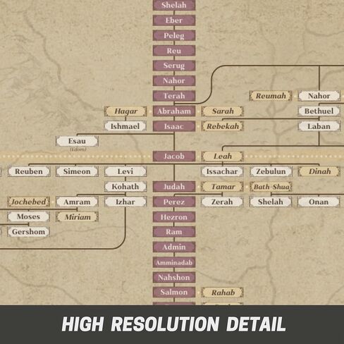 Biblical Genealogy Chart, Jesus Family Tree, Bible History Study Tool Timeline Chart, Genealogical Adam and Eve, Christian Posters for Classroom (SIZE: 16x20") in Saudi Arabia