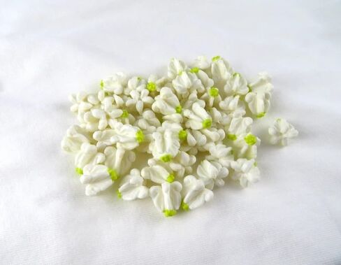 White Crown Flower Clay Beads, 100pcs, Calotropis Gigantea, Milkweed, Craft Supplies, Jewelry Making DIY Supplies, Lei Making in Saudi Arabia