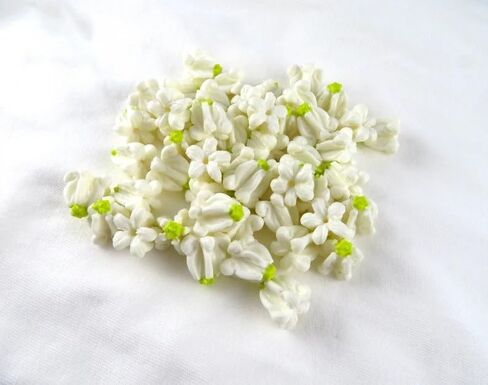 White Crown Flower Clay Beads, 100pcs, Calotropis Gigantea, Milkweed, Craft Supplies, Jewelry Making DIY Supplies, Lei Making in Saudi Arabia