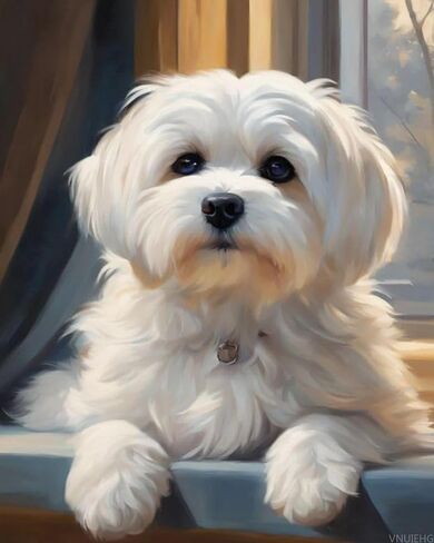 VNUIEHG Adults' Paint by Number Kits, Maltese Dog on Windowsill, Paint by Number Kits on Canvas, DIY Oil Paintings for Adults Beginners Arts and Crafts, 40x50cm No Frame in Saudi Arabia