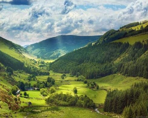 ZUVRDIAI Scotland Valleys Paint by Numbers Kits for Adults DIY Wall Art Picture Canvas Oil Painting Set Digital Paintworks for Beginners 16x20Inch in Saudi Arabia