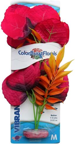 COLORBURST MELON LEAT MEDILITAL PLANT in Kuwait