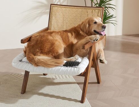 Dog Sofa Cover for Couch Protectors Washable Throw Blanket for Dogs Pet Couches Protector 27.6x70.9in Brown Sofa Pads for Couches Funnyfuzzy Pet Non-slip Sectional Couch Covers for Dog Cat Sofas Bed in Saudi Arabia