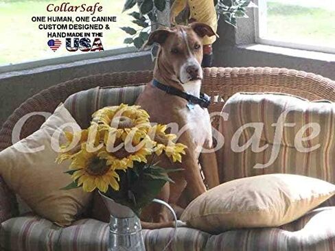 الياقات الاستبدال اليقظة لا توجد ثقوب تناسب Petsafe البقاء واللعب اللاسلكي PIF00-12918 12917 ، Sonic Bark ، Pawz Away in Kuwait