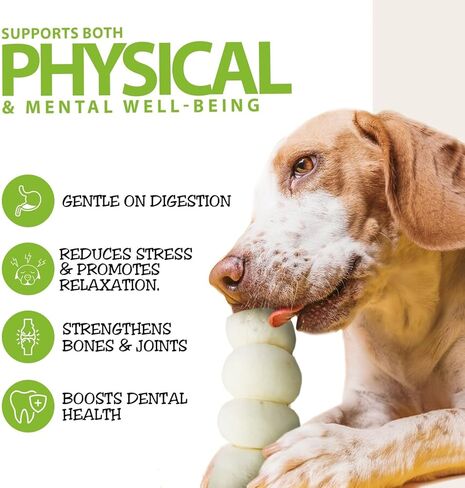 Healthy Dogma 4" Beef Cheek Rolls for Dogs – Mixed Pack Cheese Flavor & Bully Dusted Chews – Natural Collagen Beef Cheek Rolls – Long Lasting Dog Treats – 6 Pack in Kuwait