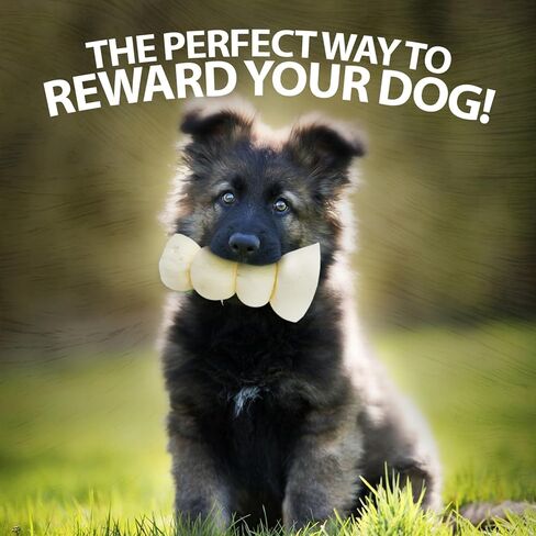 Healthy Dogma 4" Beef Cheek Rolls for Dogs – Mixed Pack Cheese Flavor & Bully Dusted Chews – Natural Collagen Beef Cheek Rolls – Long Lasting Dog Treats – 6 Pack in Kuwait