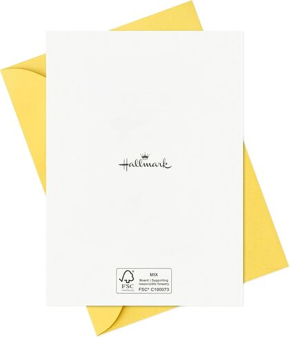 Hallmark Assorted Kids Birthday Cards (24 Blank Cards with Envelopes) Wish Big, Best Day Ever in Saudi Arabia