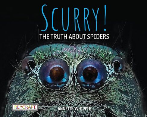Scurry! The Truth About Spiders| Full of Fun Facts, Photographs, Illustrations, & All Your Questions Answered | Reading Age 7-10 | Grade Level 2-3 | Nonfiction Science & Nature | Reycraft Books in Saudi Arabia