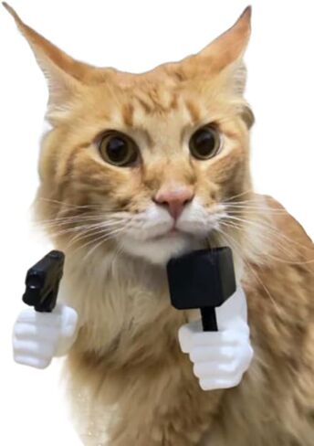 Cat Muscle Arms 3D Printed Cat's Neck Muscle Fist Middle Finger Up F88k Cosplay for Dogs Cat Birthday Party Halloween Photo Shoot (White Finger) in Saudi Arabia
