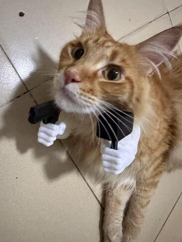 Cat Muscle Arms 3D Printed Cat's Neck Muscle Fist Middle Finger Up F88k Cosplay for Dogs Cat Birthday Party Halloween Photo Shoot (White Finger) in Saudi Arabia
