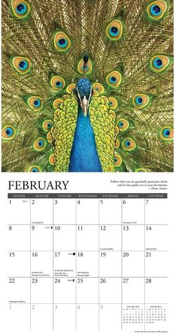 Inspirations 2026 7" x 7" Mini Wall Calendar in Saudi Arabia