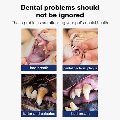 Seven777 Pet Dental Powder ، مسحوق تنظيف الأسنان للكلاب والقطط ، البلاك والنفاس السيئ ، مستلزمات العناية بالأسنان للكلاب والقطط الصغيرة الصغيرة والمتوسطة in Saudi Arabia
