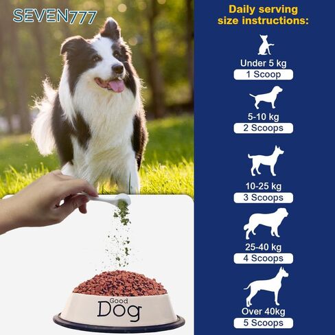 Seven777 Pet Dental Powder ، مسحوق تنظيف الأسنان للكلاب والقطط ، البلاك والنفاس السيئ ، مستلزمات العناية بالأسنان للكلاب والقطط الصغيرة الصغيرة والمتوسطة in Saudi Arabia
