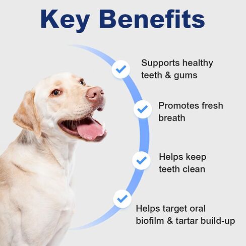 Seven777 Pet Dental Powder ، مسحوق تنظيف الأسنان للكلاب والقطط ، البلاك والنفاس السيئ ، مستلزمات العناية بالأسنان للكلاب والقطط الصغيرة الصغيرة والمتوسطة in Saudi Arabia
