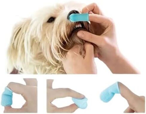 Generic 360Pets finger toothbrush,puppy accessoreis,dogs toothbrush,Dogs teeth cleaning,Cats toothbrush,White,blue and pink 1-pack. in Kuwait