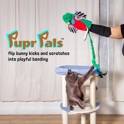Pupr Pals Cat & Dog Wrestling Toy Puppet مع حشوة صعبة للعب التفاعلي الآمن ، والحماية لإيقاف جرو هريرة العض. للتدريب والتمارين الرياضية بالملل in Kuwait