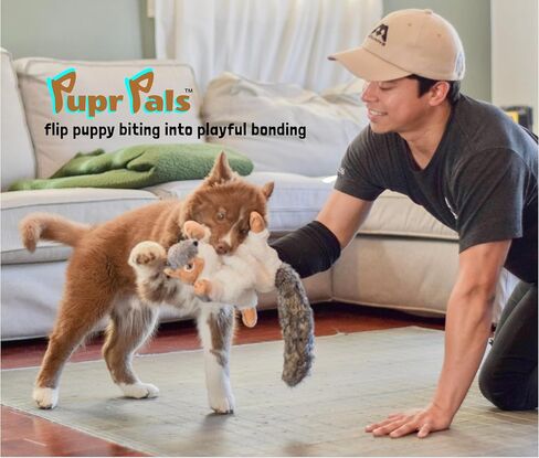 Pupr Pals Cat & Dog Wrestling Toy Puppet مع حشوة صعبة للعب التفاعلي الآمن ، والحماية لإيقاف جرو هريرة العض. للتدريب والتمارين الرياضية بالملل in Kuwait