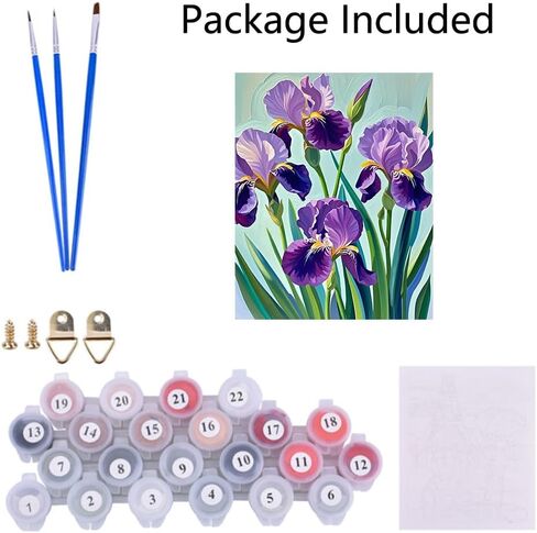 طلاء Acioppl بأرقام للبالغين المبتدئين Iris Flower DIY مجموعات الطلاء الأكريلي in Kuwait
