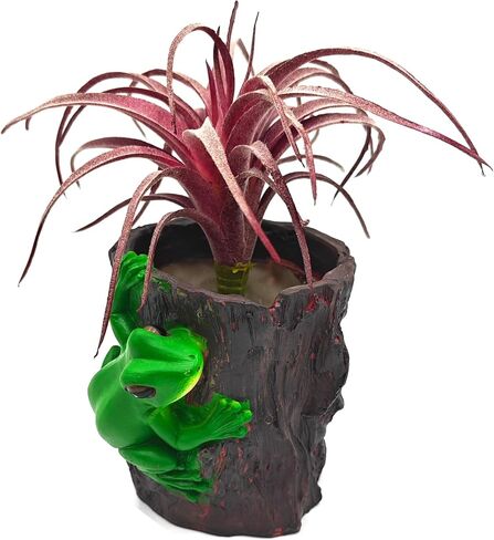 حامل قلم رصاص Frog للأطفال ، وعاء عصاري مضحك ، قلم/قلم رصاص/فرشاة منظم مكتب ، زارع لطيف للنباتات الصغيرة ، هدية المكتب للنساء الرجال (بني) in Kuwait
