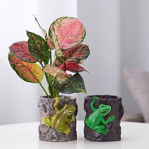 حامل قلم رصاص Frog للأطفال ، وعاء عصاري مضحك ، قلم/قلم رصاص/فرشاة منظم مكتب ، زارع لطيف للنباتات الصغيرة ، هدية المكتب للنساء الرجال (بني) in Saudi Arabia