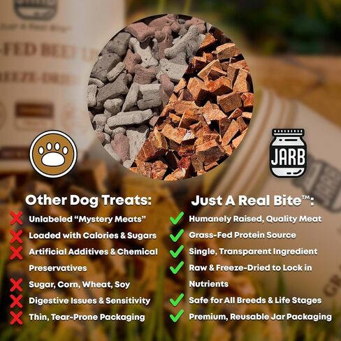 JARB 100% Grass-Fed Freeze-Dried Beef Liver 5OZ– Single Ingredient, Raw, All Natural, High Protein, Grain-Free, Healthy Dog Training Snacks, Made in USA, Puppy Training, Reward Snacks, Dog Food Topper in Saudi Arabia