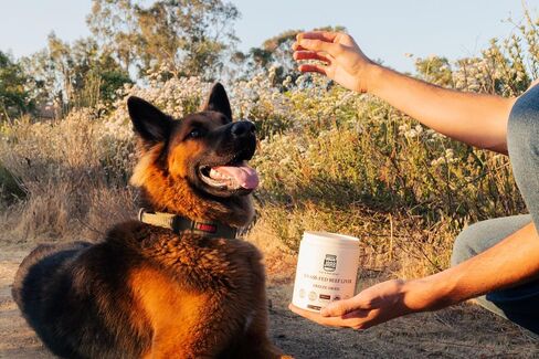 JARB 100% Grass-Fed Freeze-Dried Beef Liver 5OZ– Single Ingredient, Raw, All Natural, High Protein, Grain-Free, Healthy Dog Training Snacks, Made in USA, Puppy Training, Reward Snacks, Dog Food Topper in Saudi Arabia