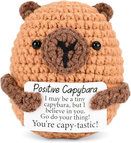 Positive Crochet Capybara Handmade Emotional Support Knitted Animal Inspirational Christmas Birthday Gifts for Women Men Desk Decor in Saudi Arabia