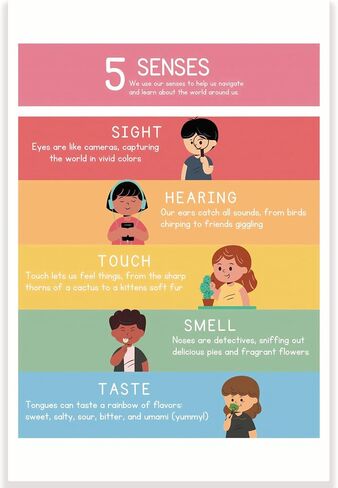 Printlabz 5 Senses Classroom Poster - 5 Senses Diagram Chart - 12 x 18 Inch - Classroom Decor in Saudi Arabia