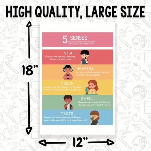 Printlabz 5 Senses Classroom Poster - 5 Senses Diagram Chart - 12 x 18 Inch - Classroom Decor in Saudi Arabia