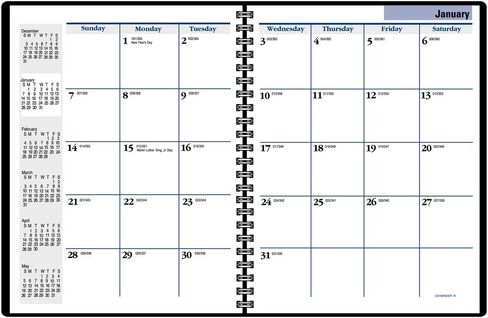 AT-A-Glance G-400 Dayminder Monthly Planner in Saudi Arabia